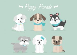puppy-parade-WEB